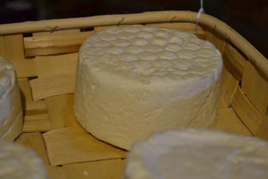 Queso de oveja.jpg