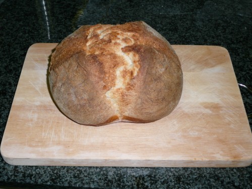 foto1.JPG