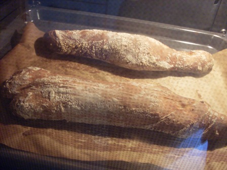 64 - ancienne amb llet (hidrat.i MM).JPG