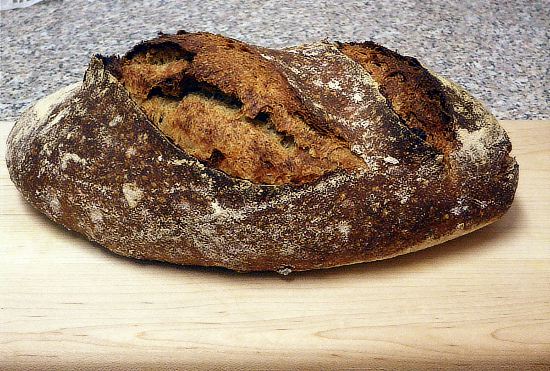 batard_25_2_2012.jpg