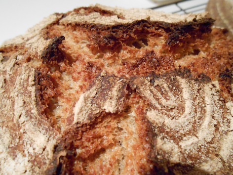 Detalle crosta