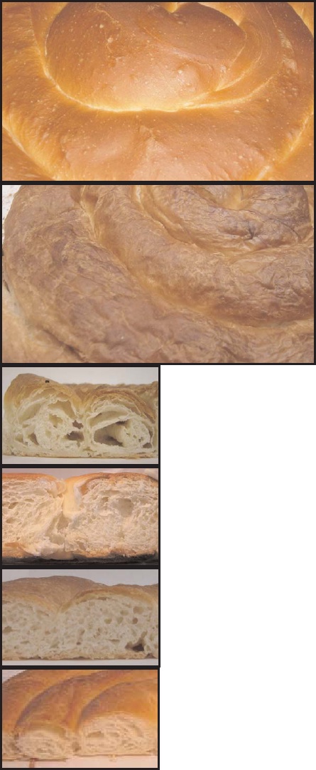 Según el "método de análisis sensorial de control de calidad de la ensaimada de Mallorca", una buena ensaimada con buen laminado sería la 3a imagen y la última. Dan las dos como buenas