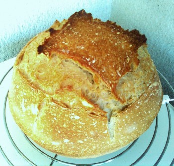Pan blanco.jpg
