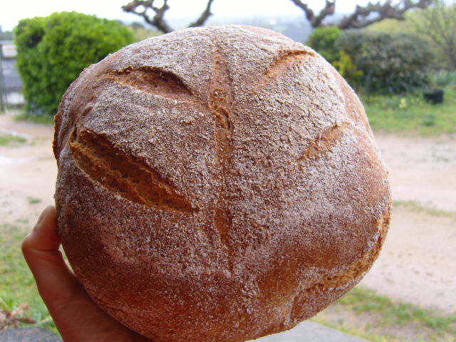 408 Pa de kamut biogoret.JPG