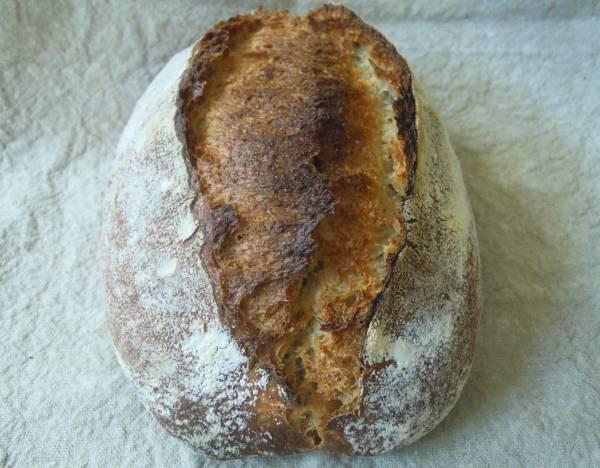 pan 100412.jpg