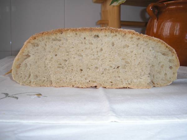 migapansemolina.jpg