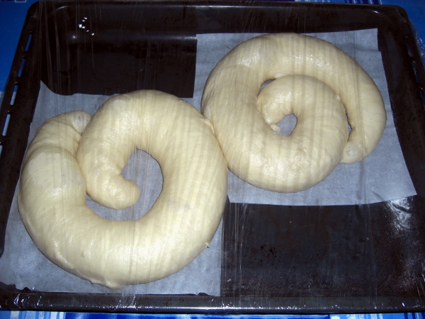Aspecto tras 12h de fermentación, parecen sobrefermentadas