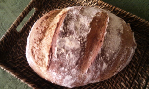 IMAG0760.jpg
