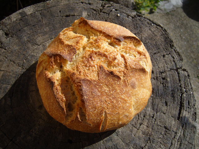 414 semolina bread.JPG