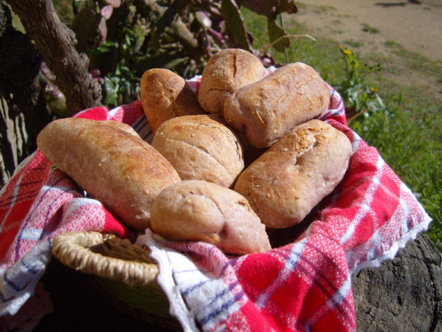 415 panets buttermilch i gerds.JPG