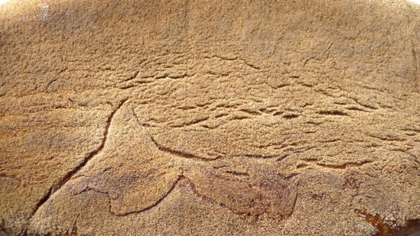 Paisaje.jpg