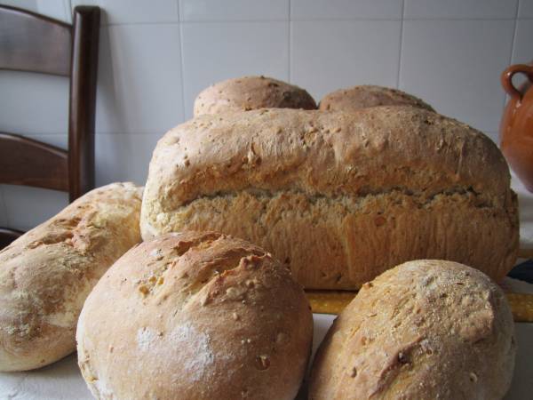 pan de molde y bollos.jpg