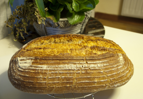 pan de trigo y harina de centeno blanca