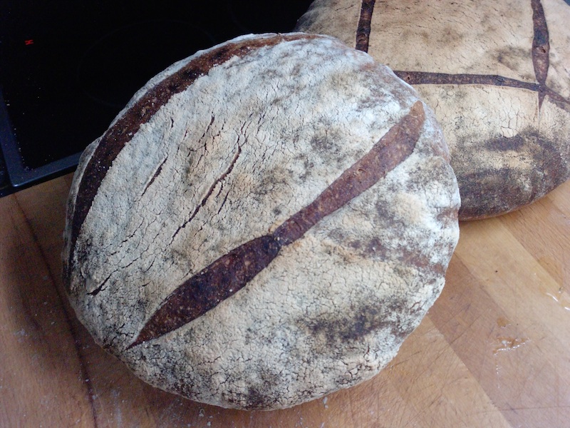 miche junio 2012.jpg