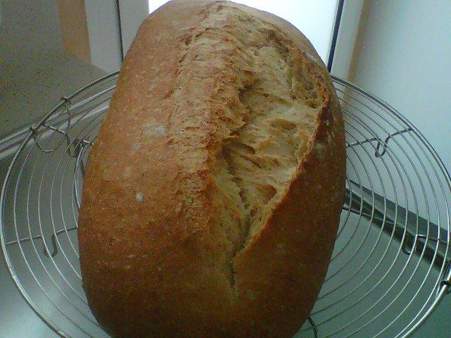 014 - panaco gran  au levain..jpg