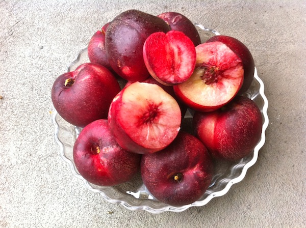 nectarines.jpg