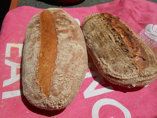 Greña no abierta (abrió por la base)