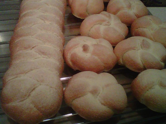 003 - nusos i trena de semolina.jpg