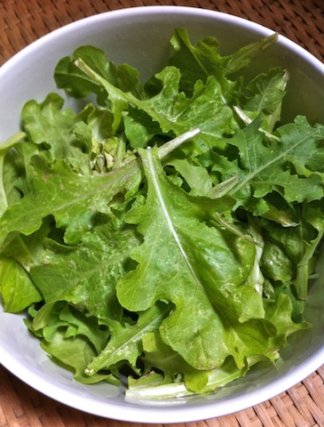 lettuce.jpg