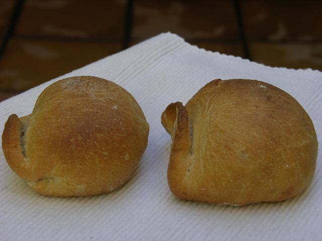 DSCN7393.JPG
