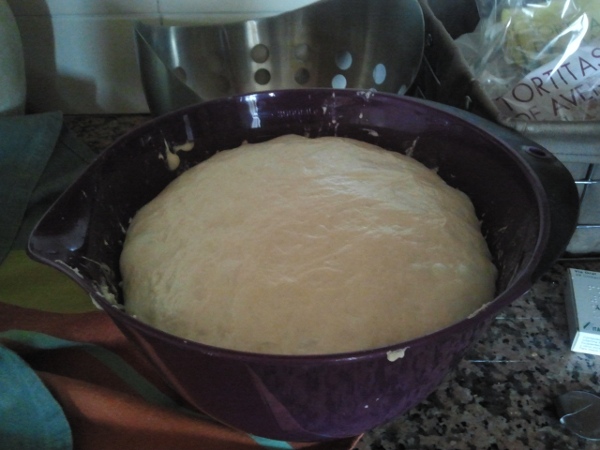Primera fermentación