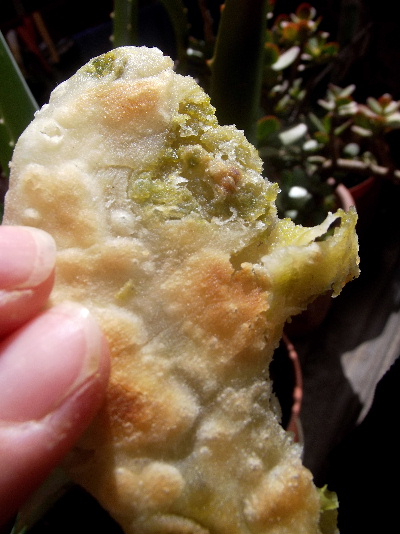 kachori2.JPG