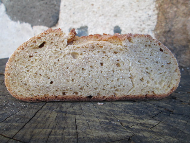 507 molla batard.JPG