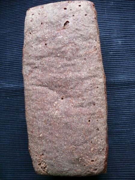 P1020937 (450 x 600).jpg