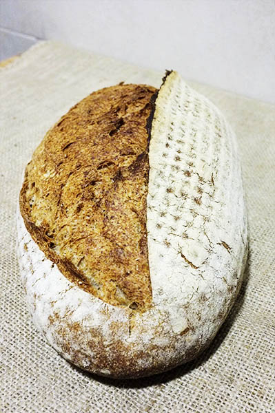 el batard y su oreja