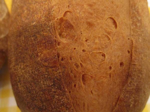 detalle semola2.jpg
