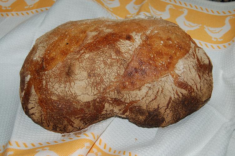 Primer pan MM.JPG