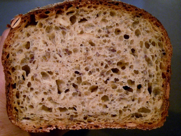 009 - molla(600x450).jpg