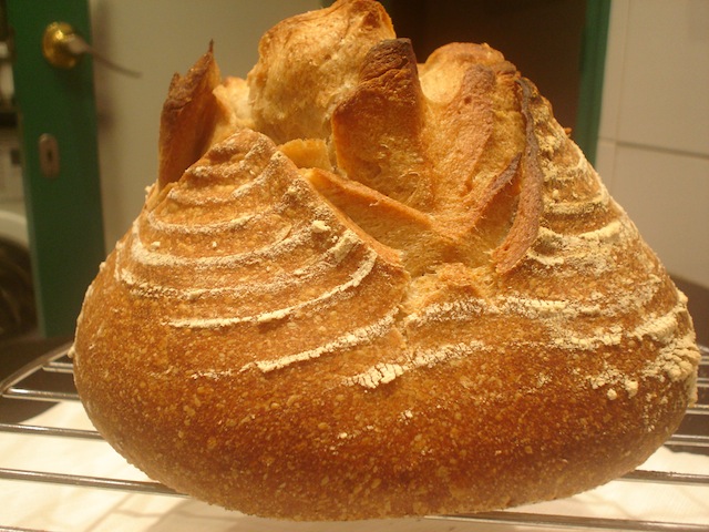 DSC00736.JPG