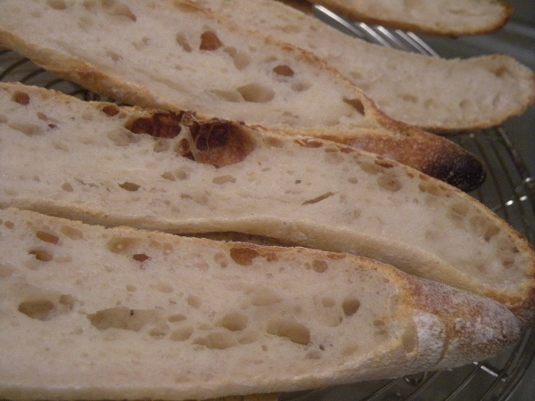 013 - molla.jpg