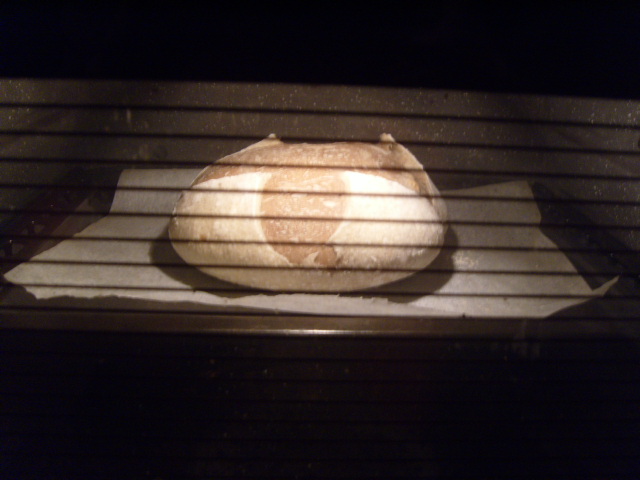 127 Pan de dos hidrataciones en el horno