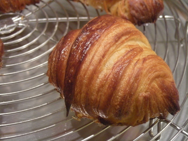 022 -  mini de 31gr (600x450).jpg