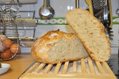 pan 2.JPG