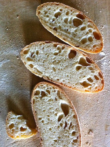panealtamura2_14.2.jpg