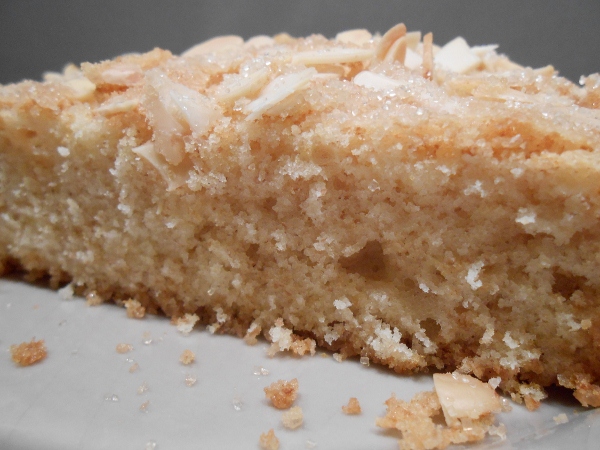 016 - coca de llanda (600x450).jpg