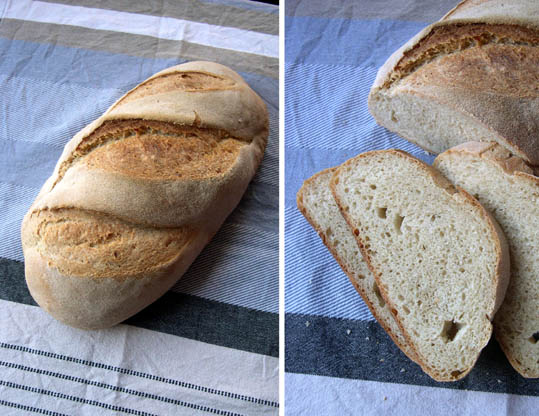 pan semola.jpg
