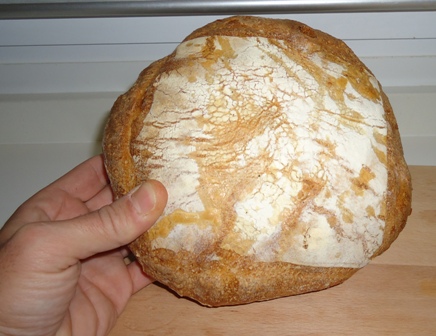 DSC00362.JPG