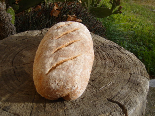Pan de dos centenos y espelta
