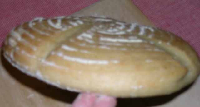 DSCN0395.JPG