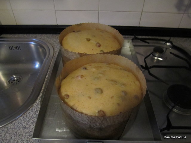 Panettone antes de hornear