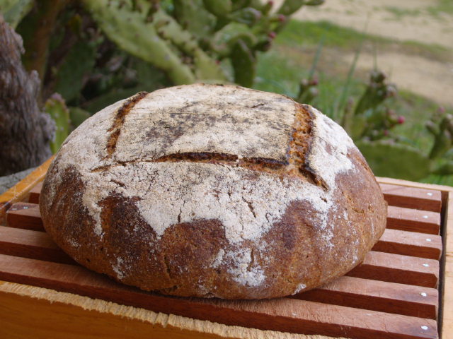 163  Pa de sègol b.JPG