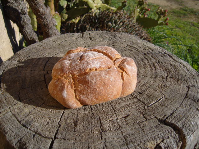 167 Pa de 3 crostons.JPG