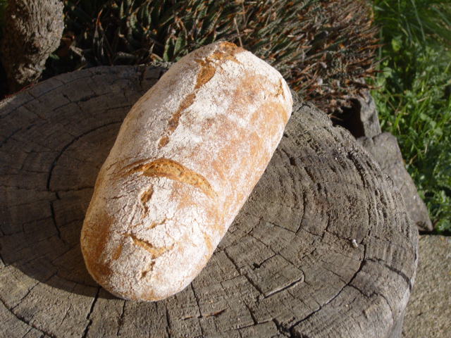 168 Pa de diverses farines.JPG
