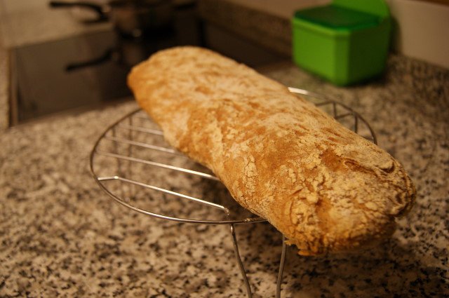 4o_pan_05.jpg