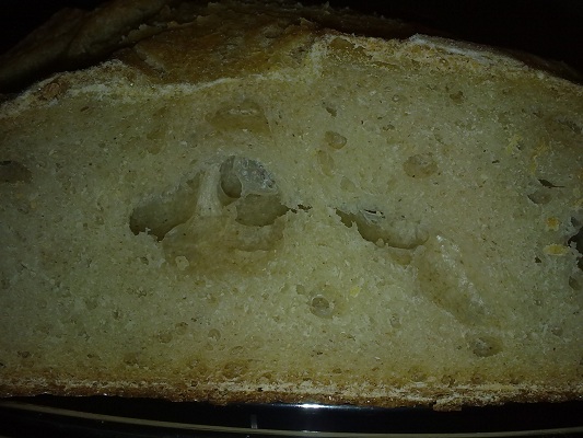 26012011080.jpg