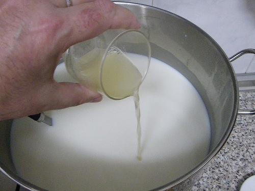 queixo4.jpg